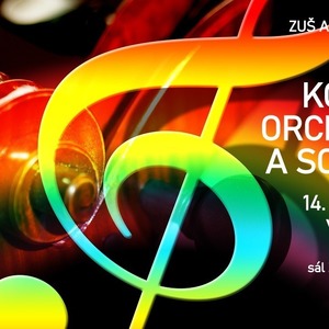 Koncert soubor%c5%af